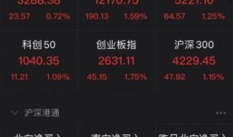 资金最新爆料最新消息,揭秘市场动态与投资新趋势