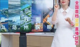 杨爽爆料一分钟视频播放,热门内容背后的秘密