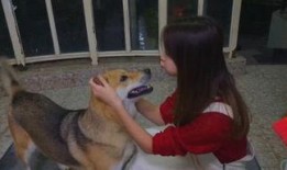 娱乐吃瓜酱阿姨卖小狗