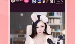 爆料四姐视频大全下载安装,下载安装全攻略