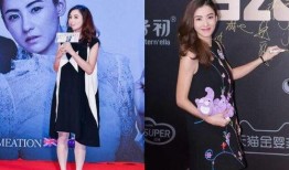 黄璐爆料张柏芝视频大全,揭秘娱乐圈背后的秘密